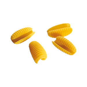 gliGnocchettiSardi490